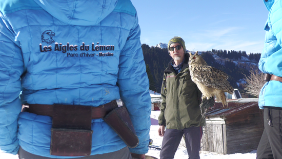 Stage fauconnerie - Falconry course